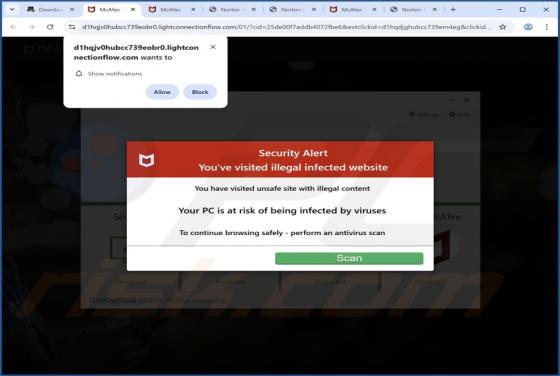 Lightconnectionflow.com Ads