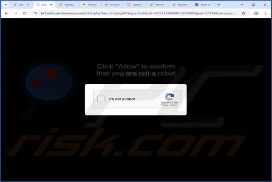 Anchomoross.com Ads