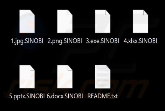 Sinobi Ransomware