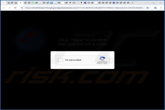 Bridgechainstudio.com Ads
