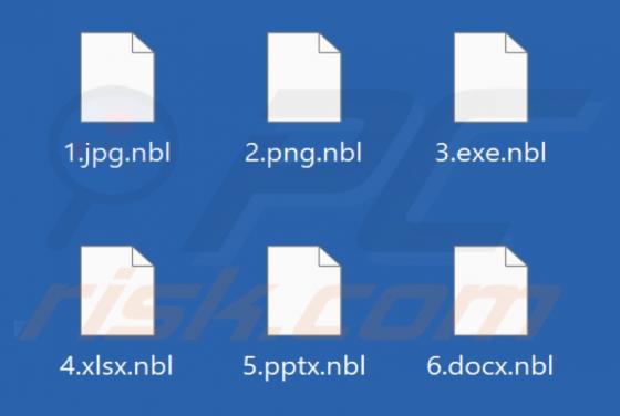 Nebula Ransomware