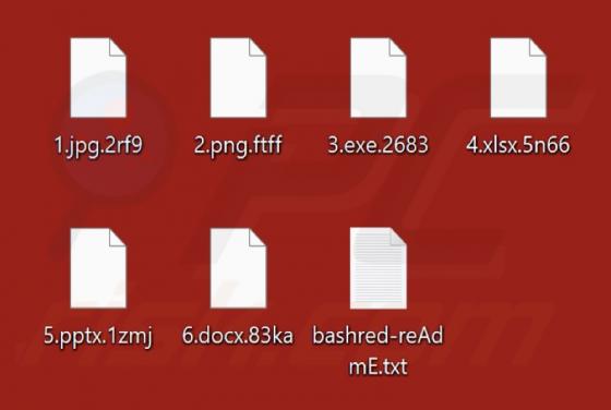 Bash 2.0 Ransomware