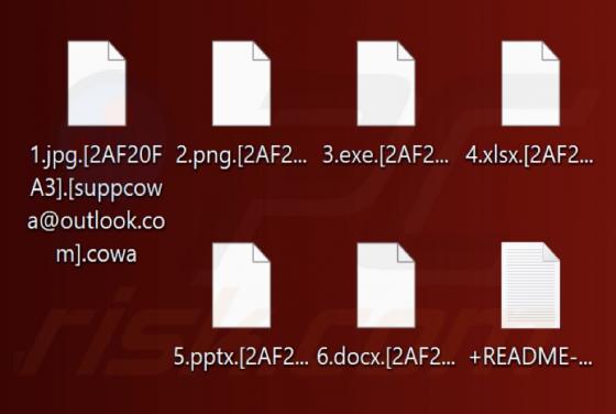 Cowa Ransomware
