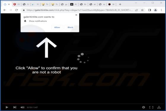 Galeritintite.com Ads