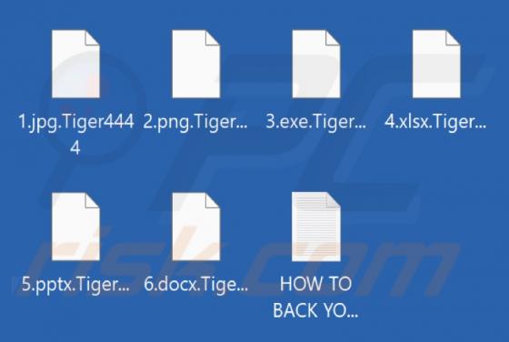 Tiger Ransomware