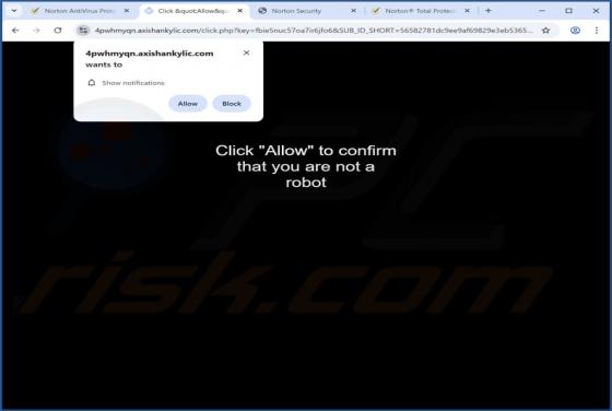 Axishankylic.com Ads