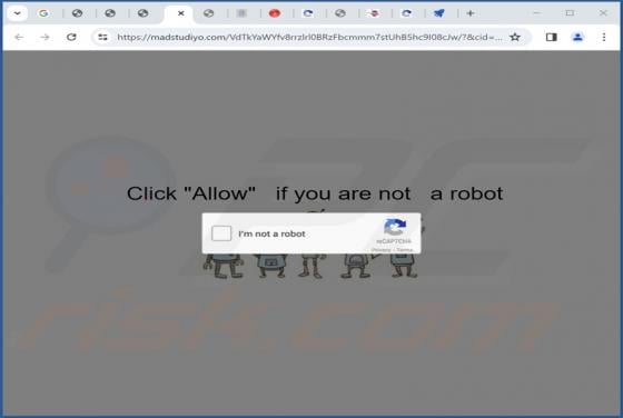 Madstudiyo.com Ads