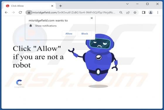 Misridgefield.com Ads