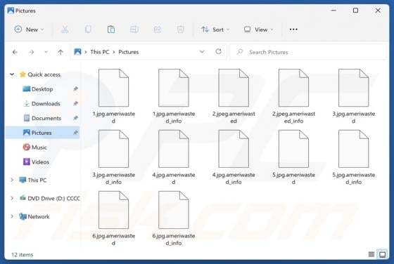 Ameriwasted Ransomware