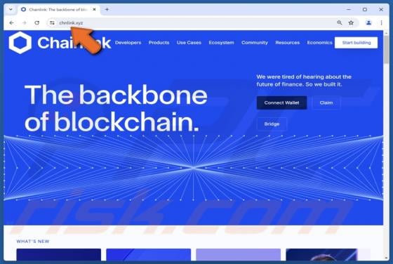 Fake Chainlink Website Scam