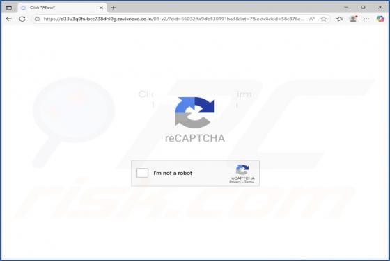 Zavixnexo.co.in Ads