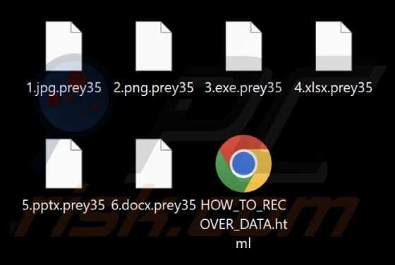 Prey Ransomware
