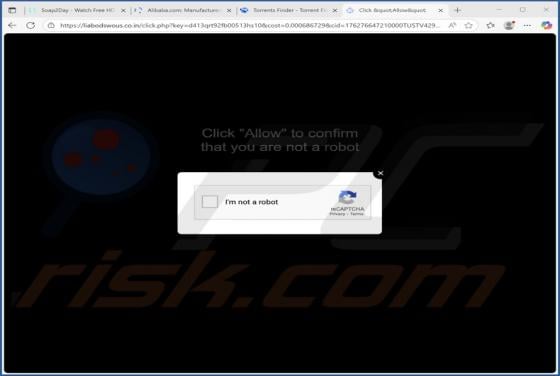 Liabodswous.co.in Ads