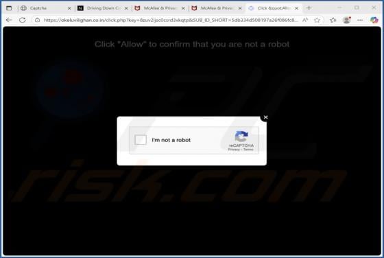 Okeluvilighan.co.in Ads