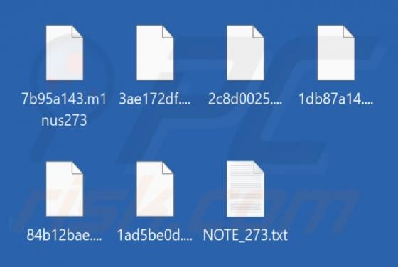 CyberSquad Ransomware