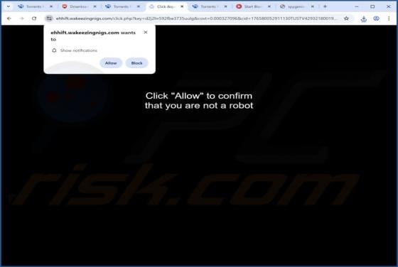 Wakeezingnigs.com Ads