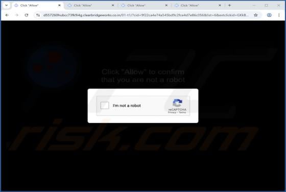 Clearbridgeworks.co.in Ads