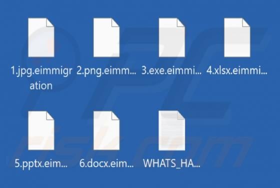 Immigration Ransomware