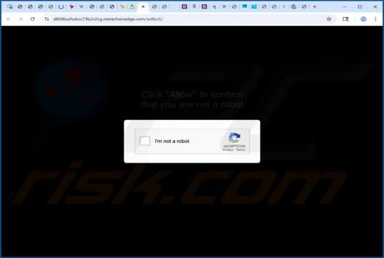 Metachainedge.com Ads