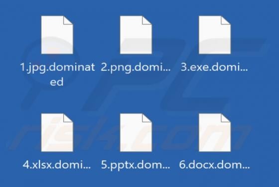 Absolute Domination Ransomware