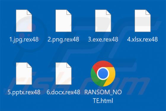 Rex Ransomware