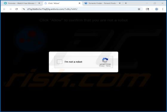 Entivrio.com Ads
