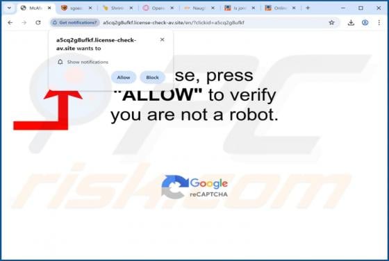 License-check-av.site Ads