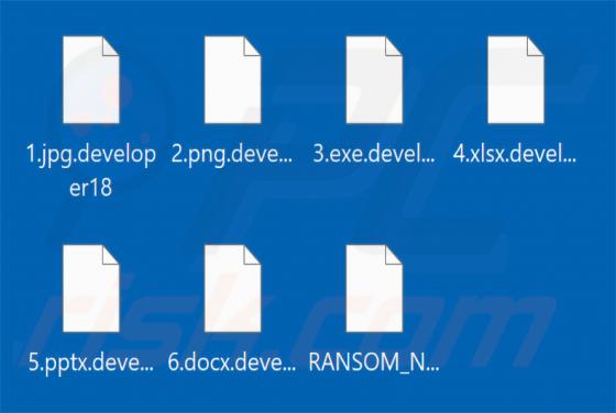 Developer Ransomware