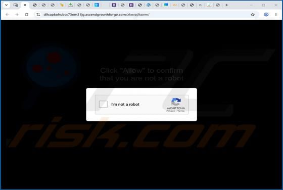 Ascendgrowthforge.com Ads