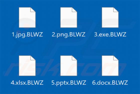 BlackWizard Ransomware