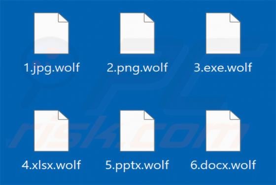 Golden Woolf Ransomware
