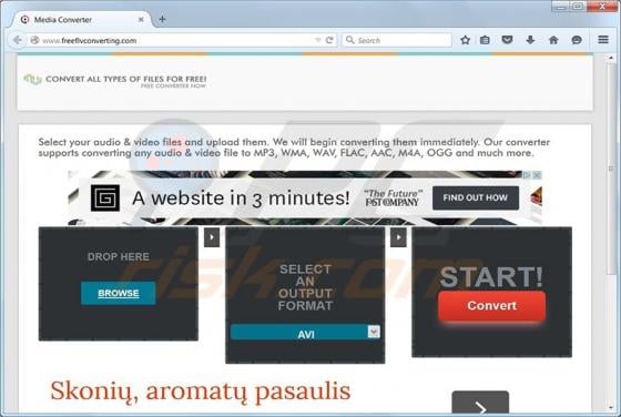 Free FLV Converter Ads