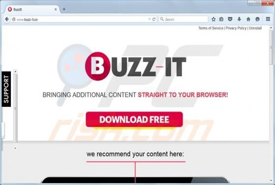 Buzz-it Virus