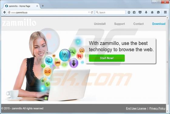Zammillo Virus