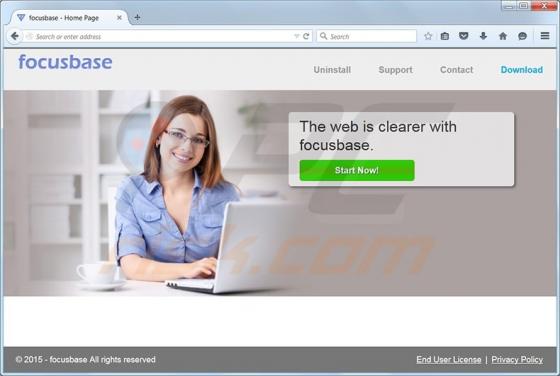 Focusbase Virus