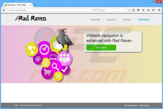 Ads by Rad Raven