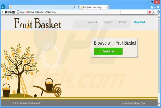 Ads by Fruit Basket