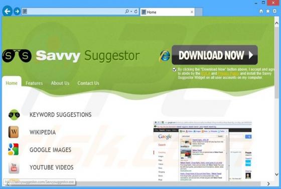 Savvy Suggestor Adware