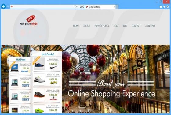Best Price Ninja Adware