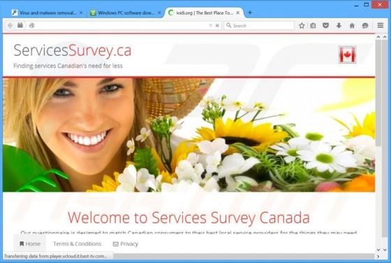 iVIDI Adware
