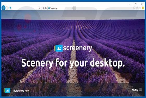 Screenery Unwanted Application