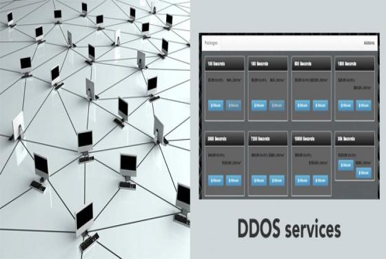 DDOS for Hire